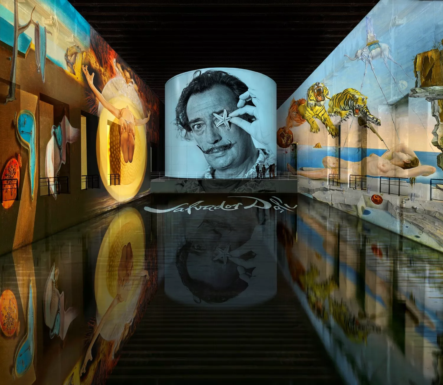 Dalí, l'énigme sans fin 